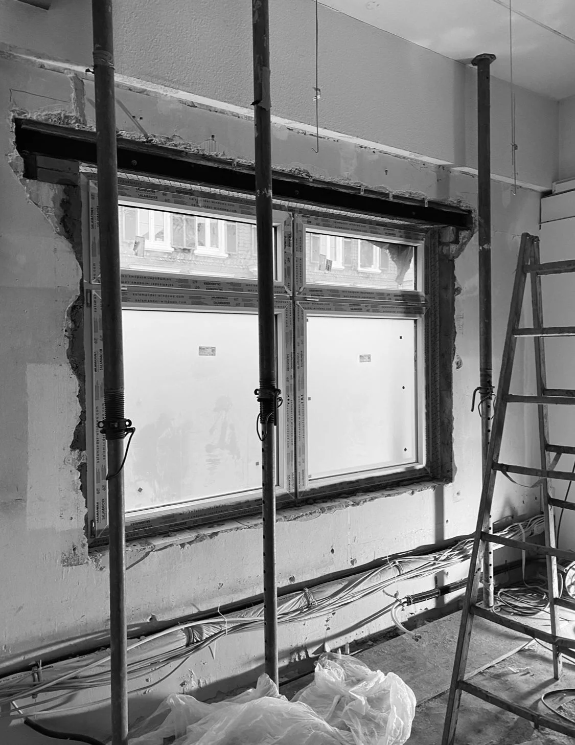 Galerie Bild 9